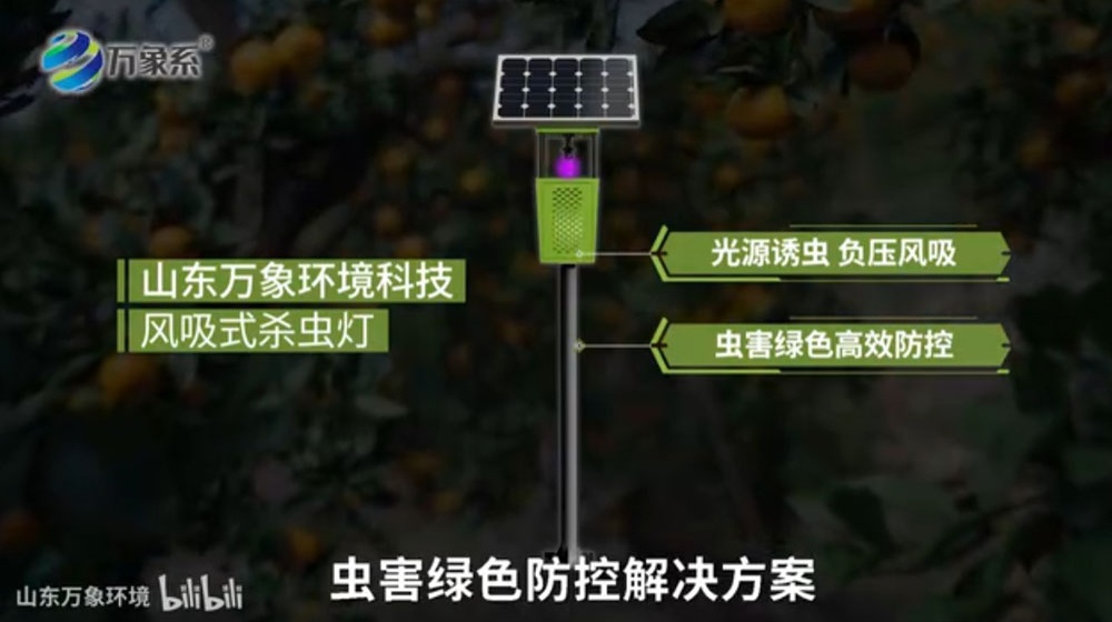 風吸式太陽能殺蟲燈